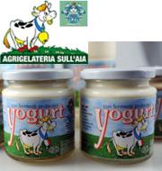 Agrigelateria sull'Aia: gli yogurt