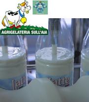 Agrigelateria sull'Aia: il latte